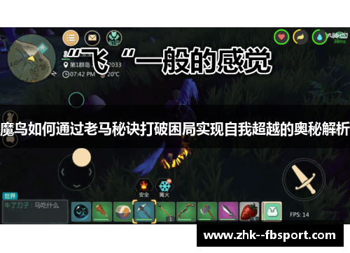 魔鸟如何通过老马秘诀打破困局实现自我超越的奥秘解析